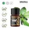 Gurjun Light / Keruing Essential Oil Pure 100%, 2-10ML GS