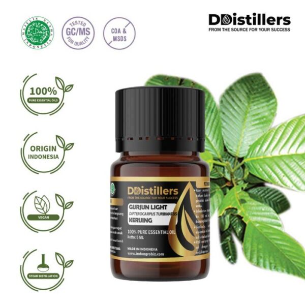 Gurjun Light / Keruing Essential Oil Pure 100%, 2-10ML GS