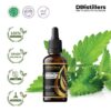 Patchouli (Java) / Nilam Jawa Essential Oil Pure 100%, 50-100ML GS
