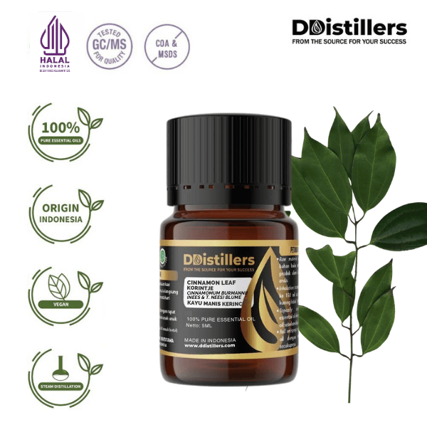 Cinnamon Leaf Korintje / Daun Kayu Manis Kerinci Essential Oil Pure 100%, 2-10ML GS