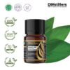 b9cf00427b764fc994faf1658bef7d12.jpg Turmeric Leaf / Daun Kunyit Essential Oil Pure 100%, 2-10ML GS