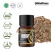 ba12f94963924fe3b43e043252bb11d2.jpg Cumin (White) Seed / Jinten Putih / Habbatussauda Essential Oil Pure 100%, 2-10ML GS