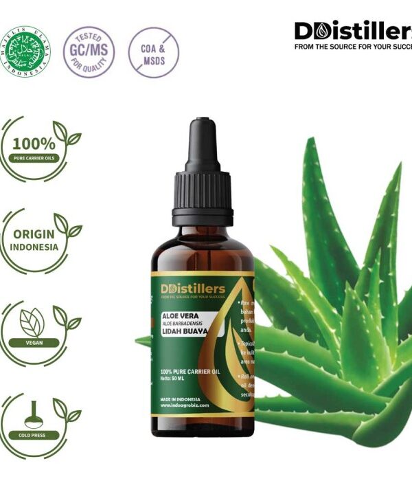 Aloe Vera / Lidah Buaya Carrier Oil Pure 100%, 50-100ML GS