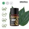 Pepper (White) Leaf / Daun Lada Putih Essential Oil Pure 100%, 2-10ML GS