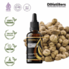 Cardamom (Java) / Kapulaga Essential Oil Pure 100%, 50-100ML GS