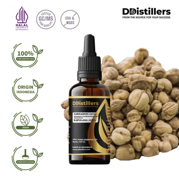 Cardamom (Java) / Kapulaga Essential Oil Pure 100%, 50-100ML GS