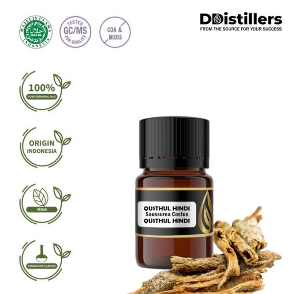 Qusthul Hindi / Qusthul Hindi Essential Oil Pure 100%, 2-10ML GS