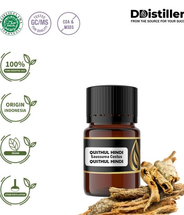 Qusthul Hindi / Qusthul Hindi Essential Oil Pure 100%, 2-10ML GS