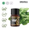 bc78c7c9383746b09e865edc9e21e754.jpg Basil (Lemon) / Kemangi Essential Oil Pure 100%, 2-10ML GS