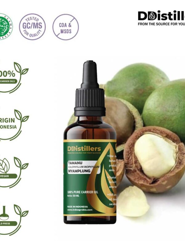 Minyak Pijat Murni 100% Tamanu Carrier Oil Vol 50-100ml / Minyak Nyamplung