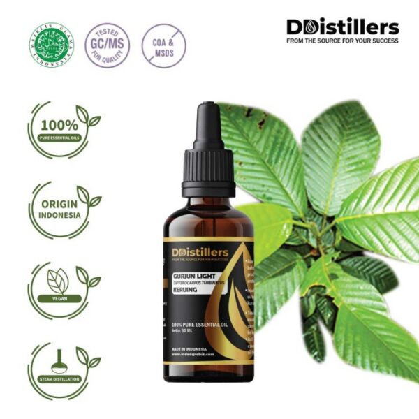 Gurjun Light / Keruing Essential Oil Pure 100%, 50-100ML GS