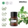 Thyme Common / Thyme / Throat Herb Essential Oil Pure 100%, 2-10ML GS
