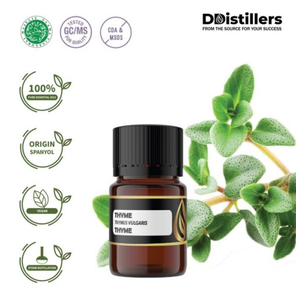 Thyme Common / Thyme / Throat Herb Essential Oil Pure 100%, 2-10ML GS