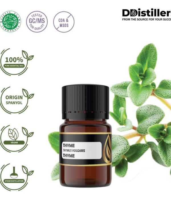 Thyme Common / Thyme / Throat Herb Essential Oil Pure 100%, 2-10ML GS