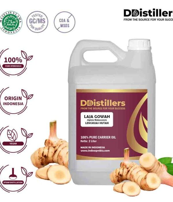 Hydrosol Laja Gowah / Lengkuas Hutan Pure 100%, 2L HDPE