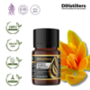 c0fb454414aa40df906cd3c3ab50a9af.png Magnolia / Cempaka Kuning Absolute Oil Pure 100%, 2-10ML GS