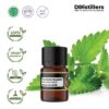 Patchouli (Sulawesi) / Nilam (Sulawesi) Essential Oil Pure 100%, 2-10ML GS