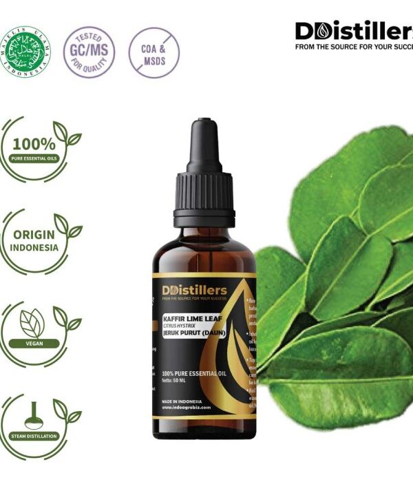 Kaffir Lime Leaf / Daun Jeruk Purut Essential Oil Pure 100%, 50-100ML GS