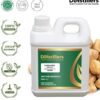 Candlenut / Kemiri Cold Press Grade A CO Pure 100%, 500ML-1L HDPE