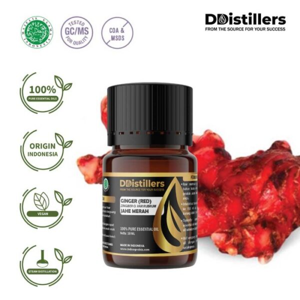 ccee1cfd9cf443fea48a7051807c0a30-2.jpg Ginger (Red) / Jahe Merah Essential Oil Pure 100%, 2-10ML GS