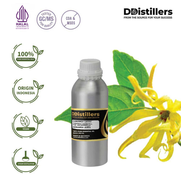 Cananga (Java) / Kenanga Jawa Essential Oil Pure 100%, 500ML-1L HDPE/SS