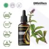 Pennyroyal / Pennyroyal Essential Oil Pure 100%, 50-100ML GS