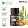 Plai / Bangle Essential Oil Pure 100%, 2-10ML GS