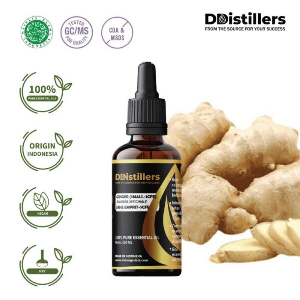 d08e1bc91ed943628cfe896faaa16d1c.jpg Ginger (Small SCFE) / Jahe Emprit Essential Oil Pure 100%, 50-100ML GS