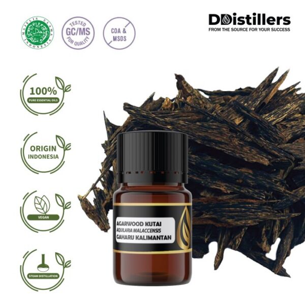 Agarwood Kutai / Gaharu Kalimantan Essential Oil Pure 100%, 3-12ML GS