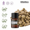Cardamom (Java) / Kapulaga Essential Oil Pure 100%, 2-10ML GS