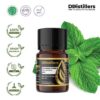 Peppermint (Piperita) / Mint Essential Oil Pure 100%, 2-10ML GS