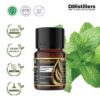 Peppermint (Cornmint) / Cornmint Essential Oil Pure 100%, 2-10ML GS