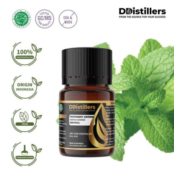 Peppermint (Cornmint) / Cornmint Essential Oil Pure 100%, 2-10ML GS