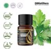 Coriander Leaf / Daun Ketumbar Essential Oil Pure 100%, 2-10ML GS