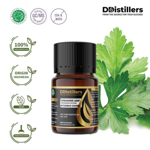Coriander Leaf / Daun Ketumbar Essential Oil Pure 100%, 2-10ML GS