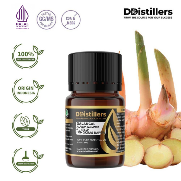 d332c7d1316341cd88ad7ec90282ec2f.png Galangal / Lengkuas Dapur Essential Oil Pure 100%, 2-10ML GS
