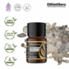 Borneo Champor / Kapur Barus Essential Oil Pure 100%, 2-10ML GS