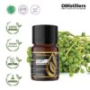 d5bd81d91c9547e3b867b3004899cbe5.jpg May Chang / Kilemo / Krangean Essential Oil Pure 100%, 2-10ML GS