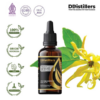 Cananga (Java) / Kenanga Jawa Essential Oil Pure 100%, 50-100ML GS