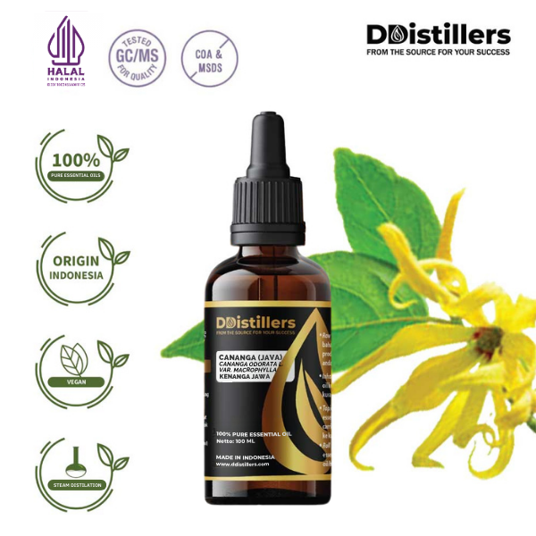 Cananga (Java) / Kenanga Jawa Essential Oil Pure 100%, 50-100ML GS