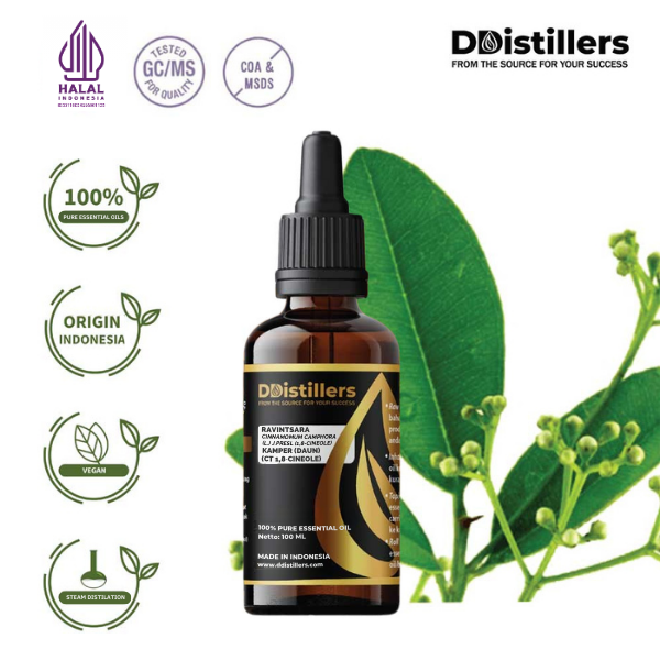 d6b5c8aab9c24da28f3337070642a745.png Ravintsara / Daun Kamper (CT 1,8-Cineol) Essential Oil Pure 100%, 50-100ML GS