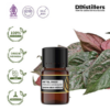 Betel (Red) / Sirih Merah Essential Oil Pure 100%, 2-10ML GS