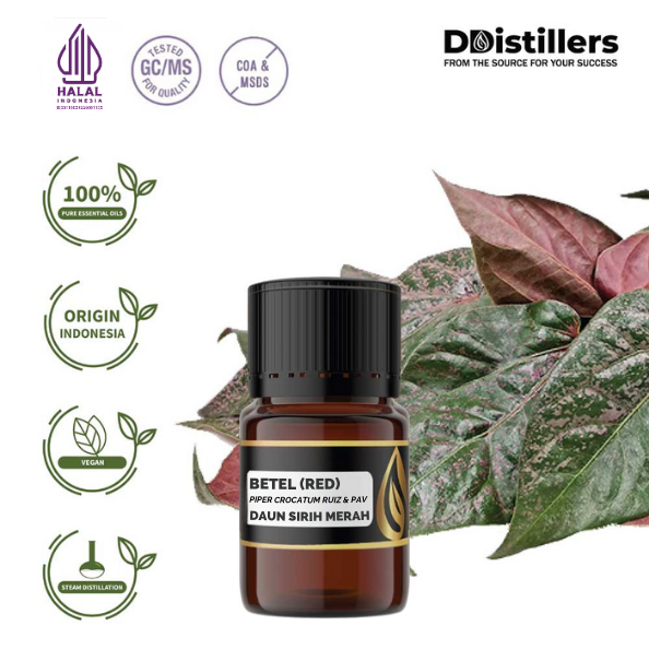 d7f00bb372d847e3b55135f76a0aa4ad.png Betel (Red) / Sirih Merah Essential Oil Pure 100%, 2-10ML GS