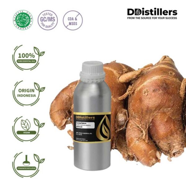 Kaempferia / Aromatic Ginger / Kencur Essential Oil Pure 100%, 500ML-1L HDPE/SS