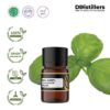 Basil (Sweet) / Selasih Essential Oil Pure 100%, 2-10ML GS