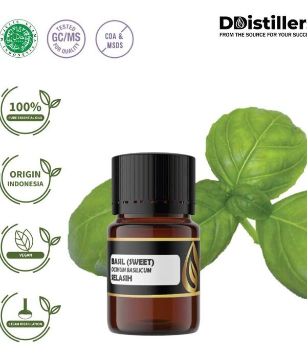 Basil (Sweet) / Selasih Essential Oil Pure 100%, 2-10ML GS