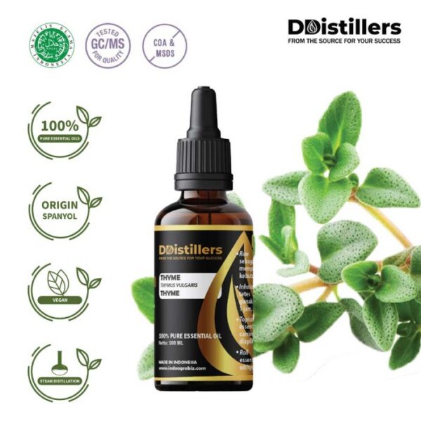 Thyme Common / Thyme / Throat Herb Essential Oil Pure 100%, 50-100ML GS