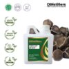 Moringa Seed / Biji Kelor Carrier Oil Pure 100%, 500ML-1L HDPE