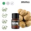 dd4c2cda79064a96b5d32c2bf33dff6f.jpg Nutmeg Seed SCFE / Biji Pala Essential Oil Pure 100%, 2-10ML GS