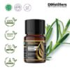 Tarragon / Tarragon Essential Oil Pure 100%, 2-10ML GS